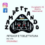 Toelettatura Cani Messina - Zampettando